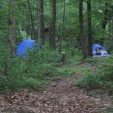 Review photo of French Creek State Park Campground by Katrina Z., October 9, 2018