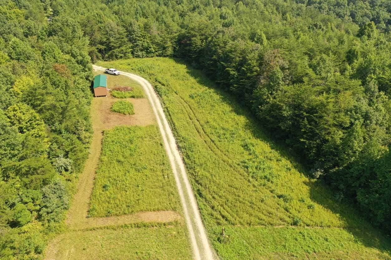Camper-submitted photo at Tranquility Creek near Laurel River Lake
