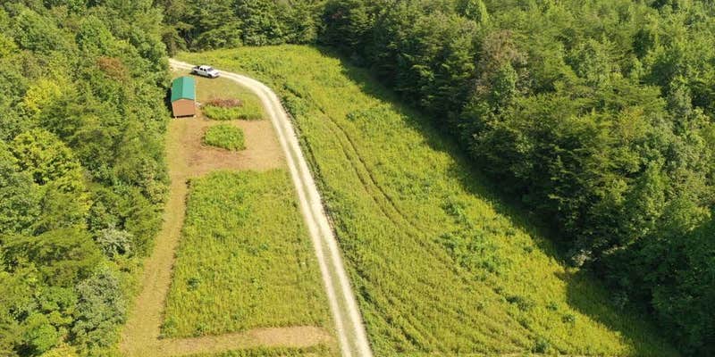 Camper submitted image from Tranquility Creek