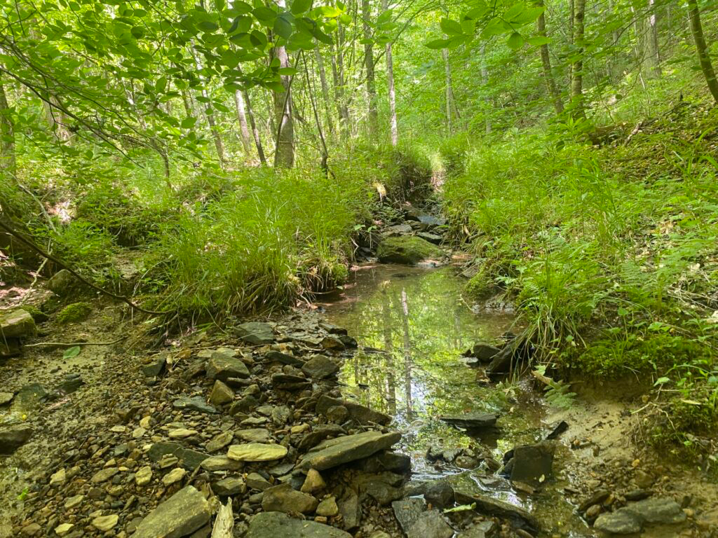 Camper-submitted photo at Tranquility Creek near Laurel River Lake