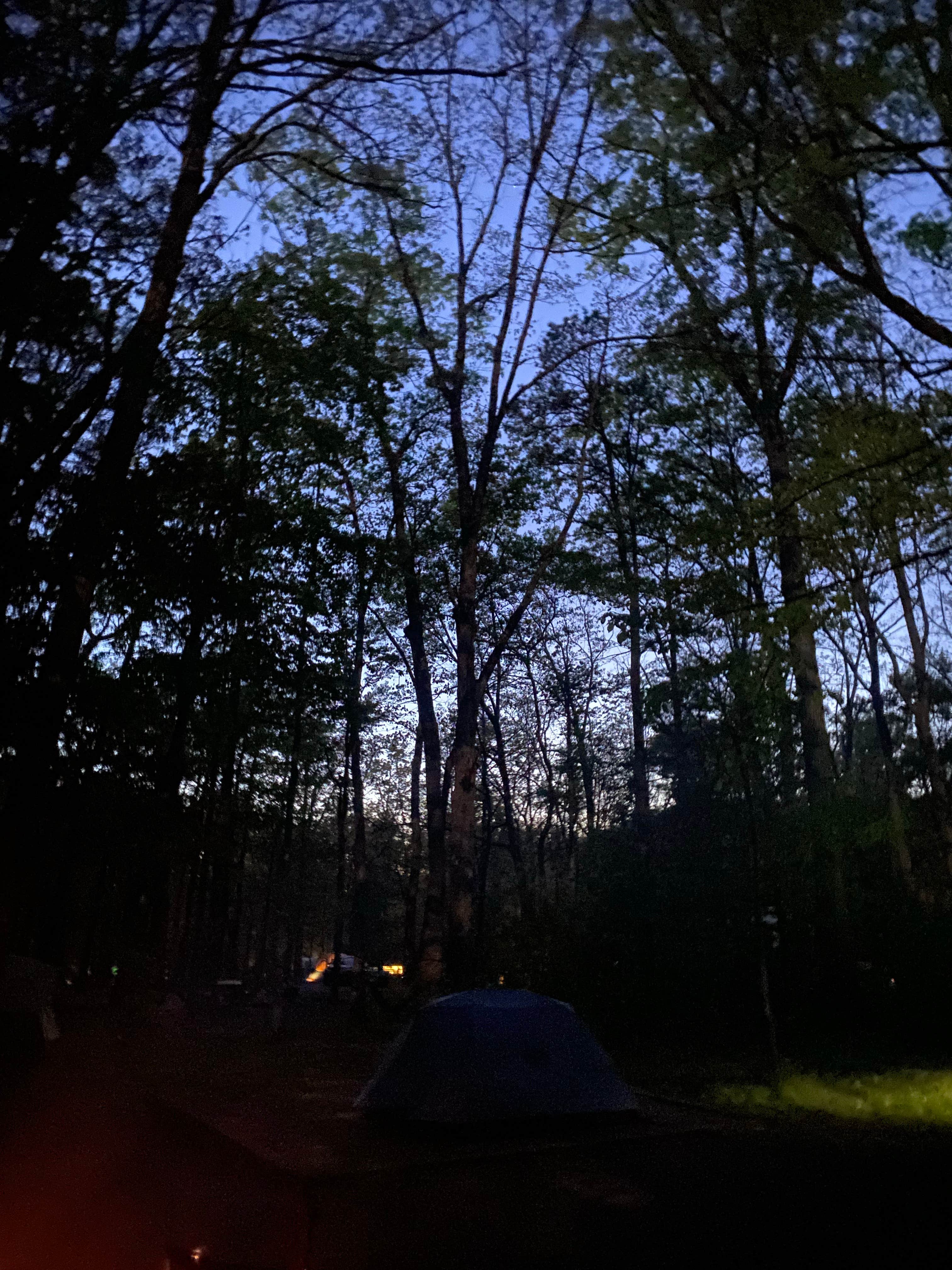 Emma T.'s photo at Cades Cove Campground near Maryville, TN