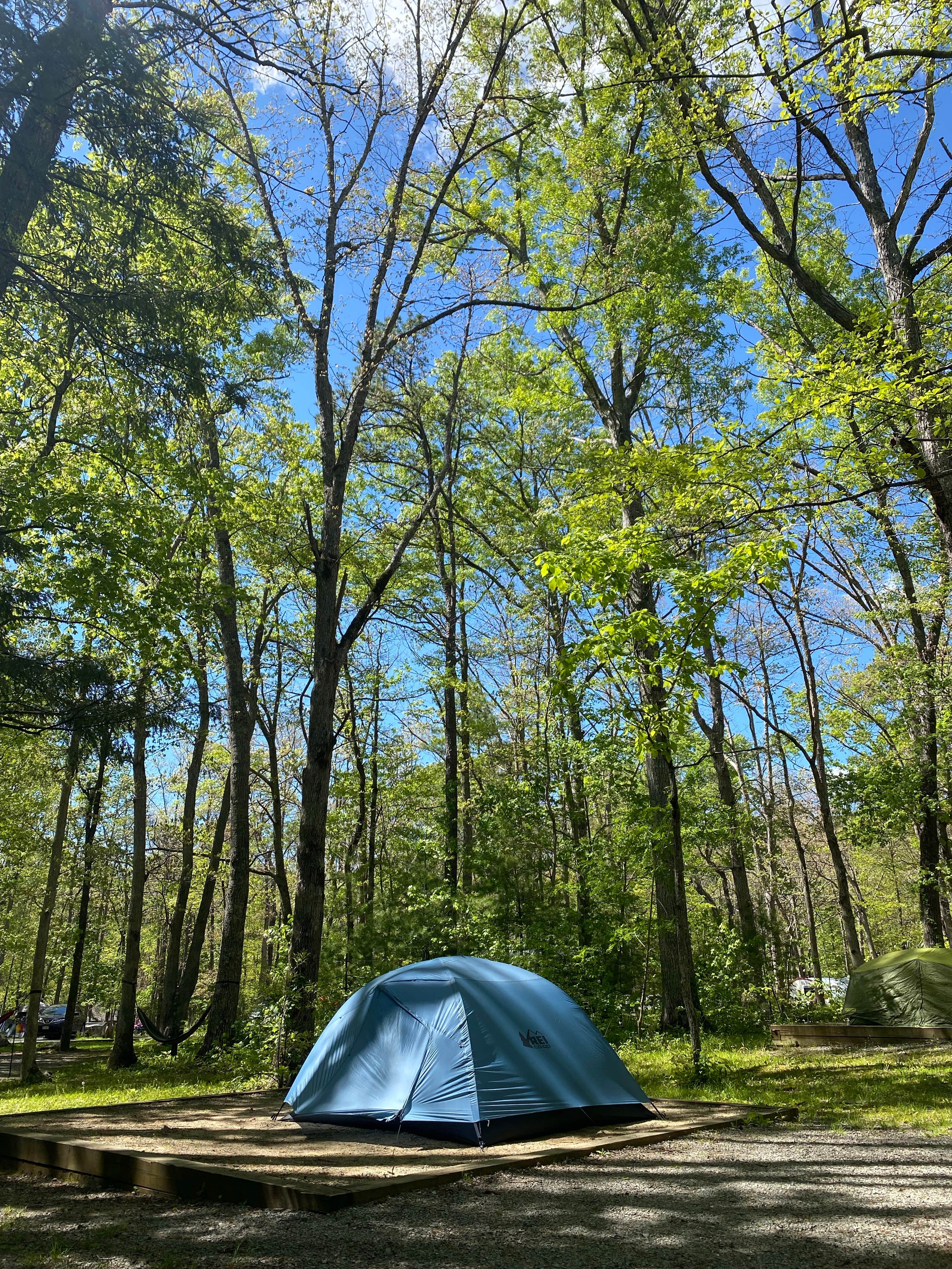 Emma T.'s photo at Cades Cove Campground near Maryville, TN