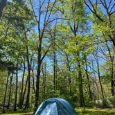 Review photo of Cades Cove Campground by Emma T., May 6, 2023