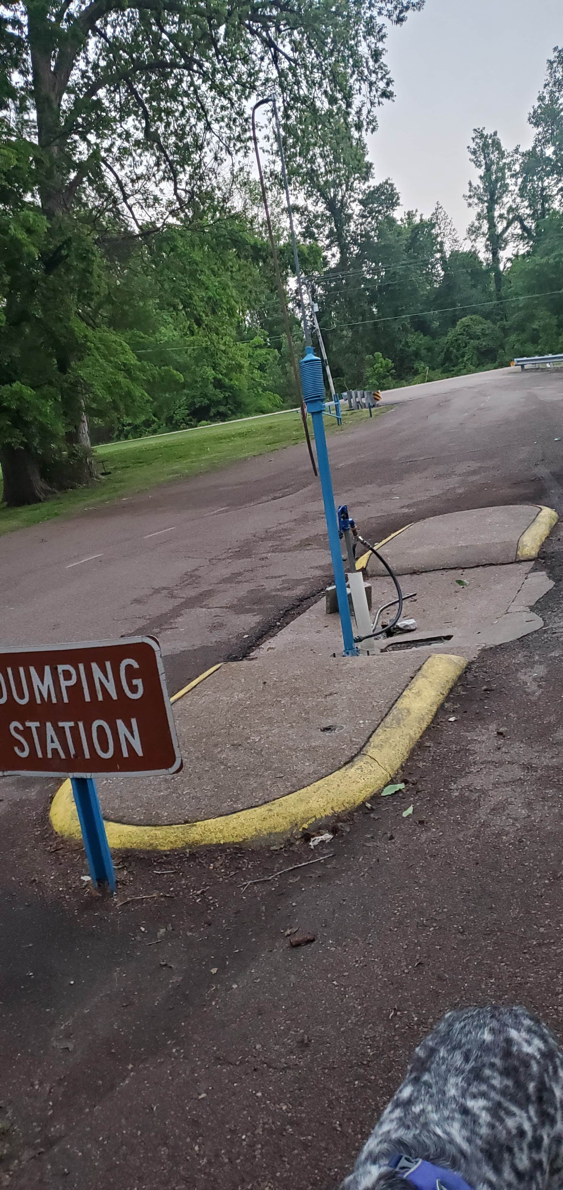 Staci R.'s photo of camping with pets at Reelfoot Lake State Park Campgrounds near New Madrid, MO