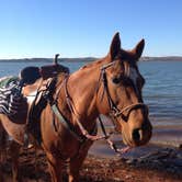 Review photo of Twin Lakes at Lake Hartwell by Maddi P., October 9, 2018