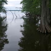 Review photo of Reelfoot Lake State Park Campground by Staci R., May 6, 2023