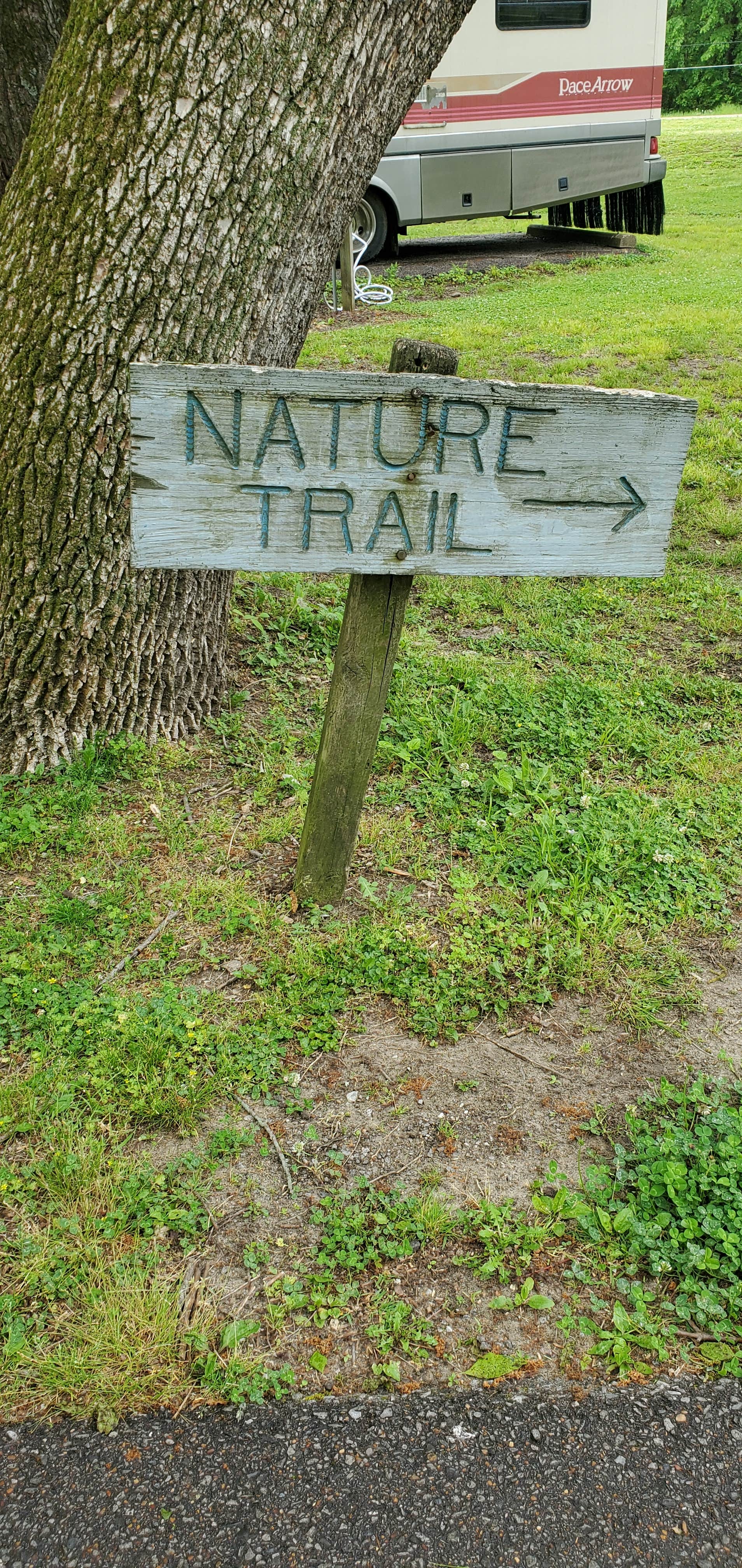 Staci R.'s photo of rv camping at South Campground — Reelfoot Lake State Park near Gilbert, AR