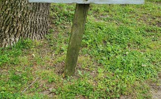 Staci R.'s photo of rv camping at South Campground — Reelfoot Lake State Park near New Madrid, MO