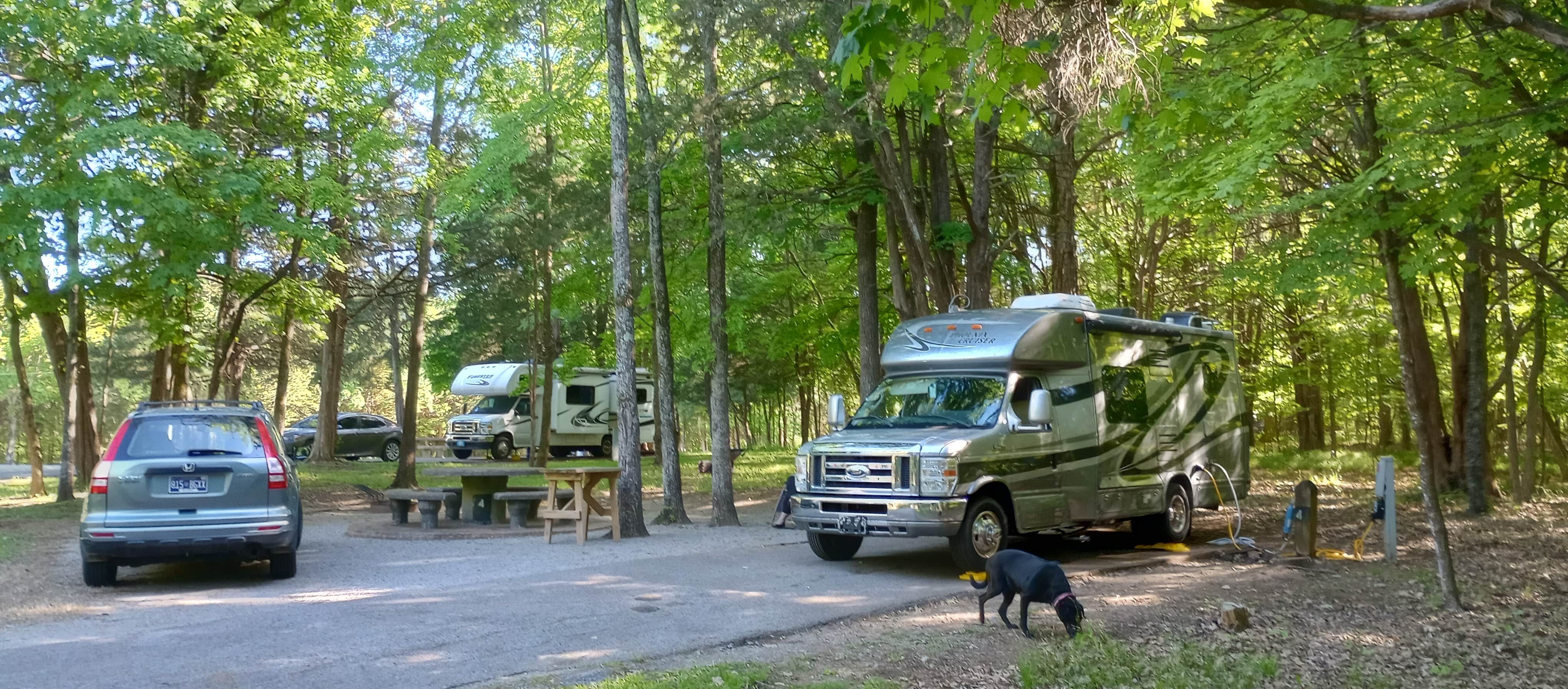 Paul B.'s photo of camping with pets at Seven Points near Old Hickory Lake