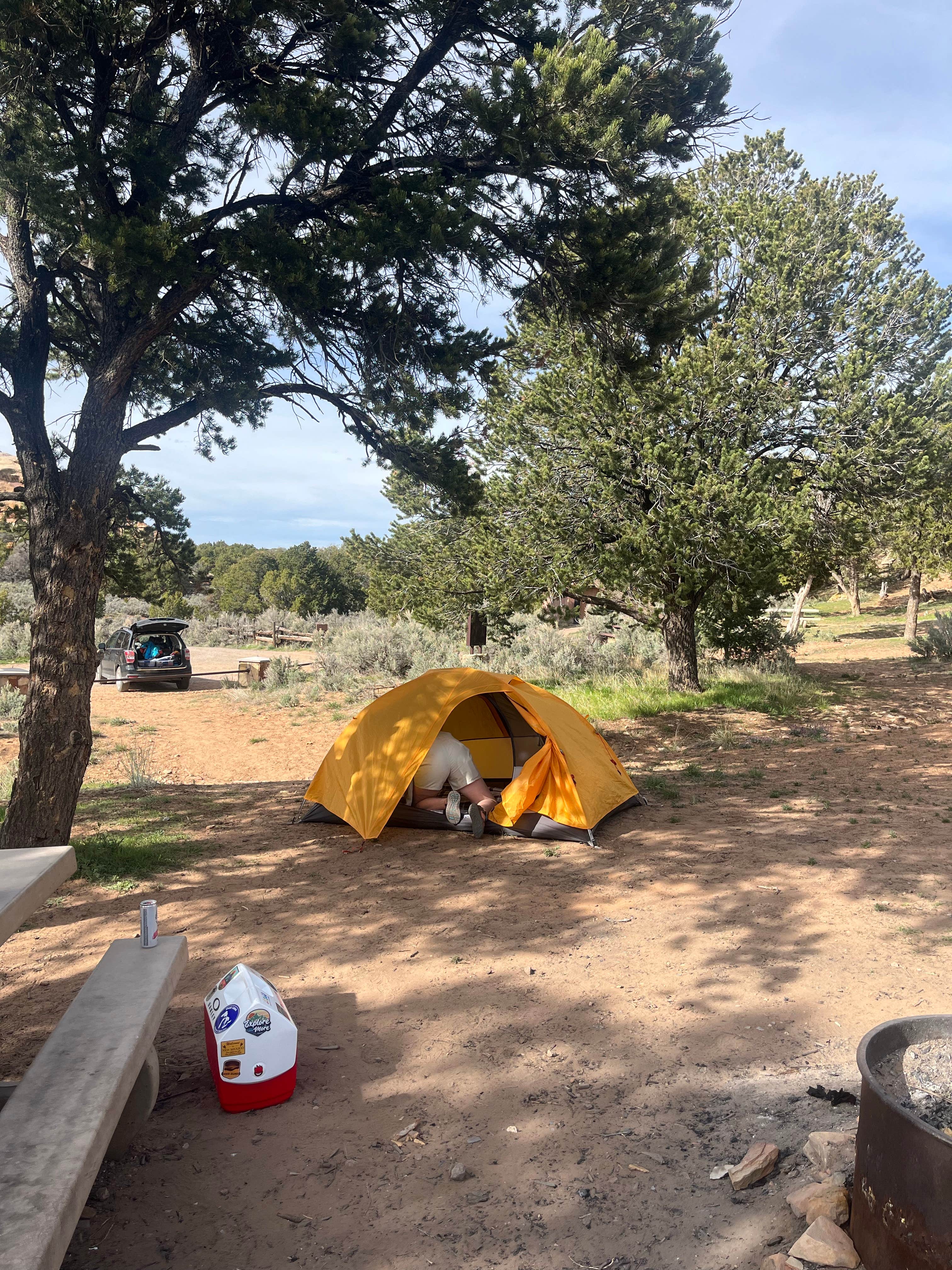Camper submitted image from Miracle Rock - 5