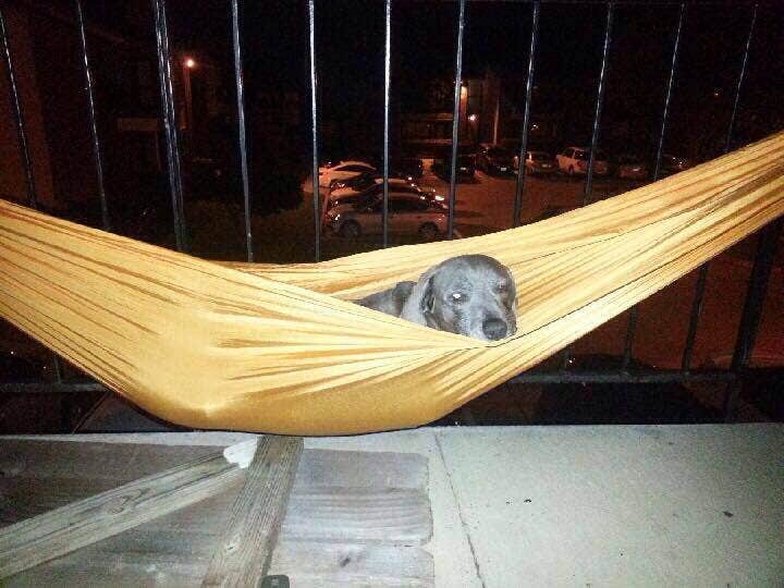 Camper-submitted photo at Table Rock State Park Campground in Missouri