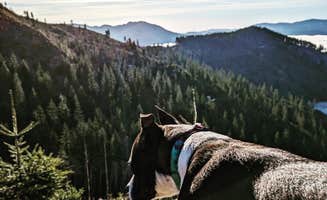 Casey B.'s photo of a dispersed camping area at Tillamook State Forest Dispersed Camping near Clatskanie, OR