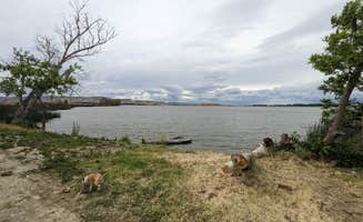 Laura M.'s photo of camping with pets at Medeiros Primitive Campsites — San Luis Reservoir State Recreation Area near Modesto, CA