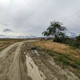 Review photo of Medeiros Primitive Campsites - San Luis Reservoir by Laura M., May 7, 2023