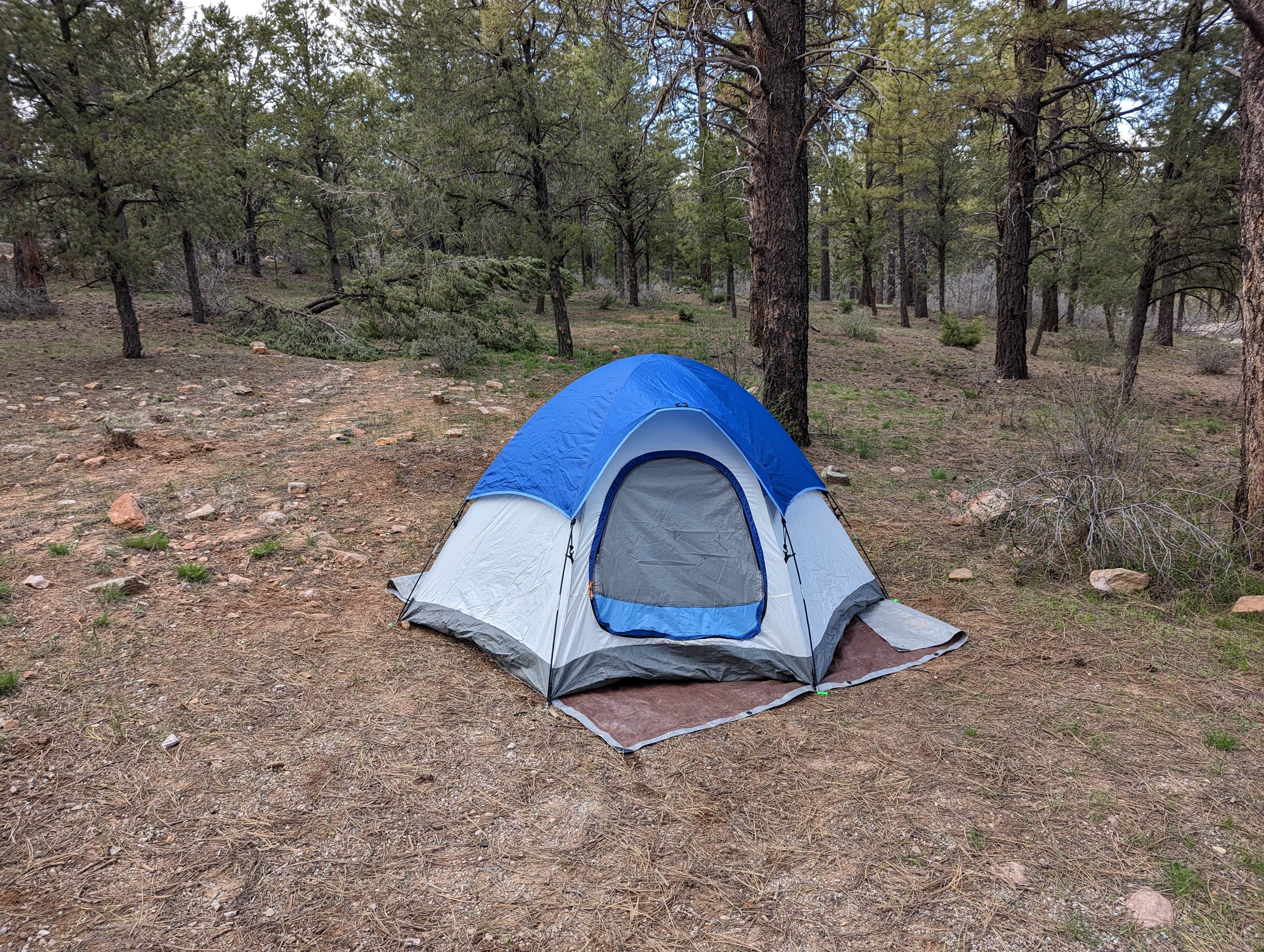 Adam D.'s photo at Devils Canyon Campground near Monticello, UT