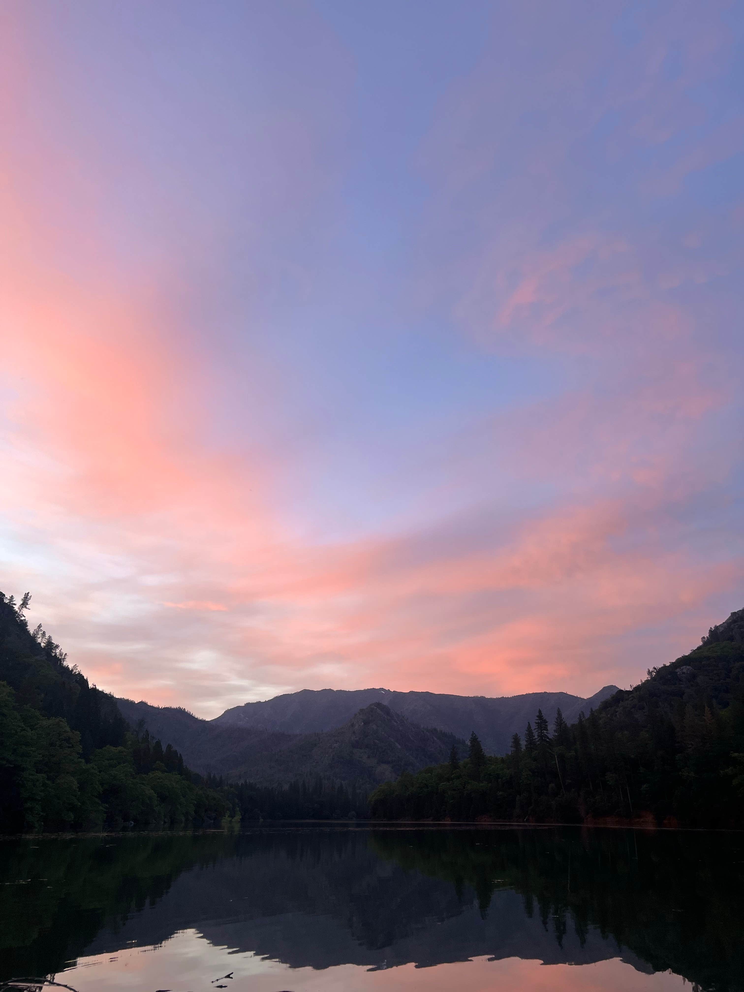 Camper submitted image from Ellery Creek - 4