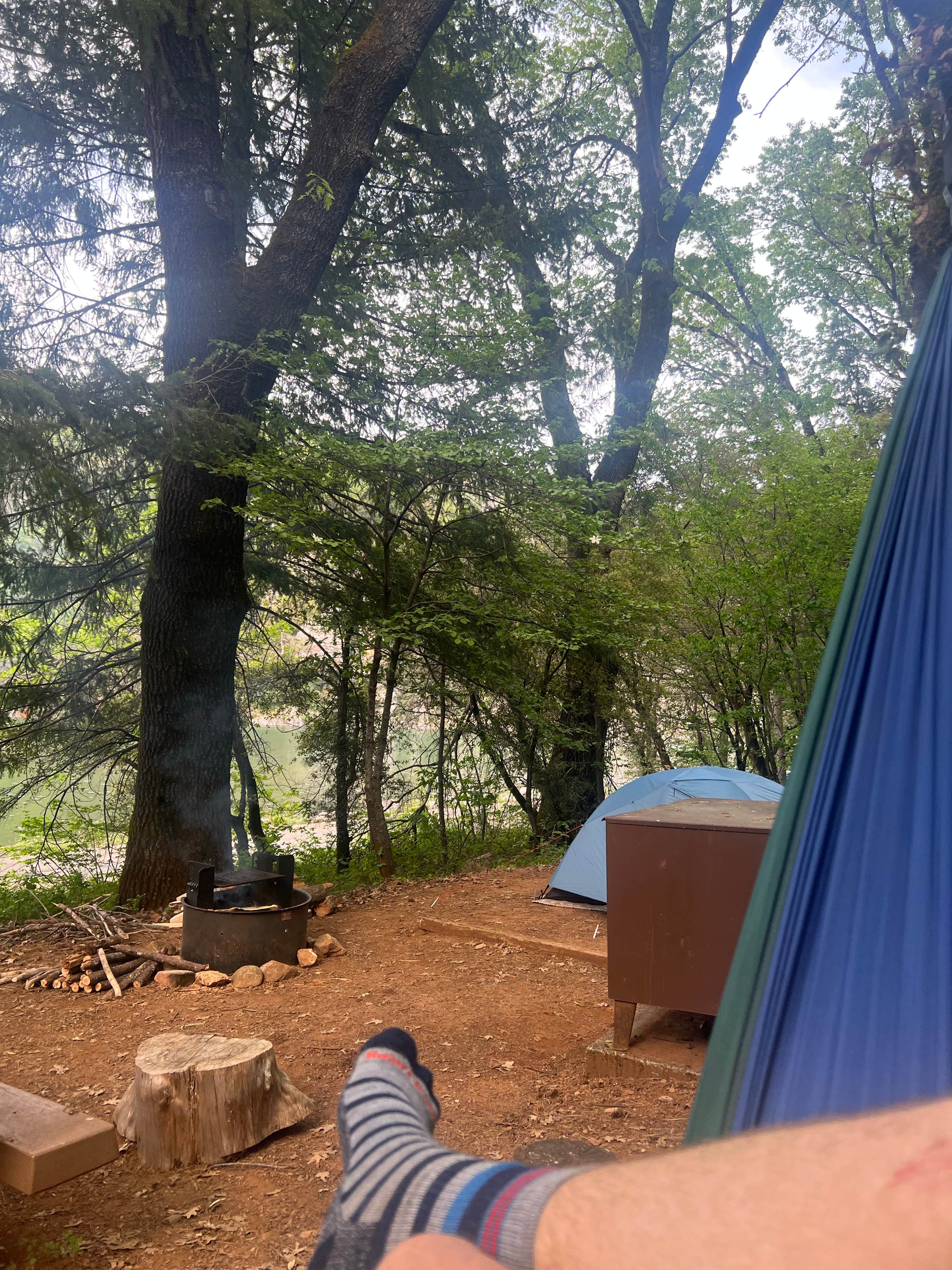 Camper submitted image from Ellery Creek - 5