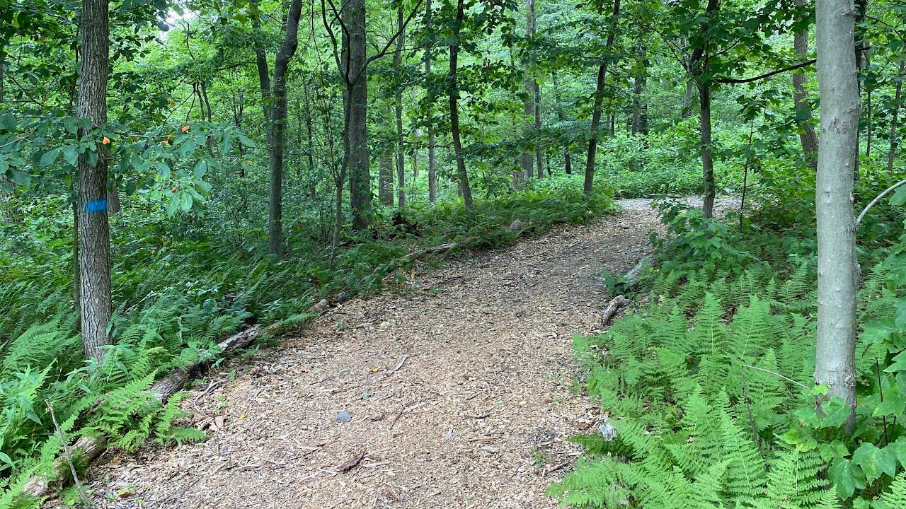 Camper submitted image from White Oak Campground - 5
