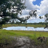 Review photo of Old Prairie Campground — Myakka River State Park by Kevin C., May 7, 2023