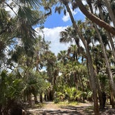 Review photo of Old Prairie Campground — Myakka River State Park by Kevin C., May 7, 2023