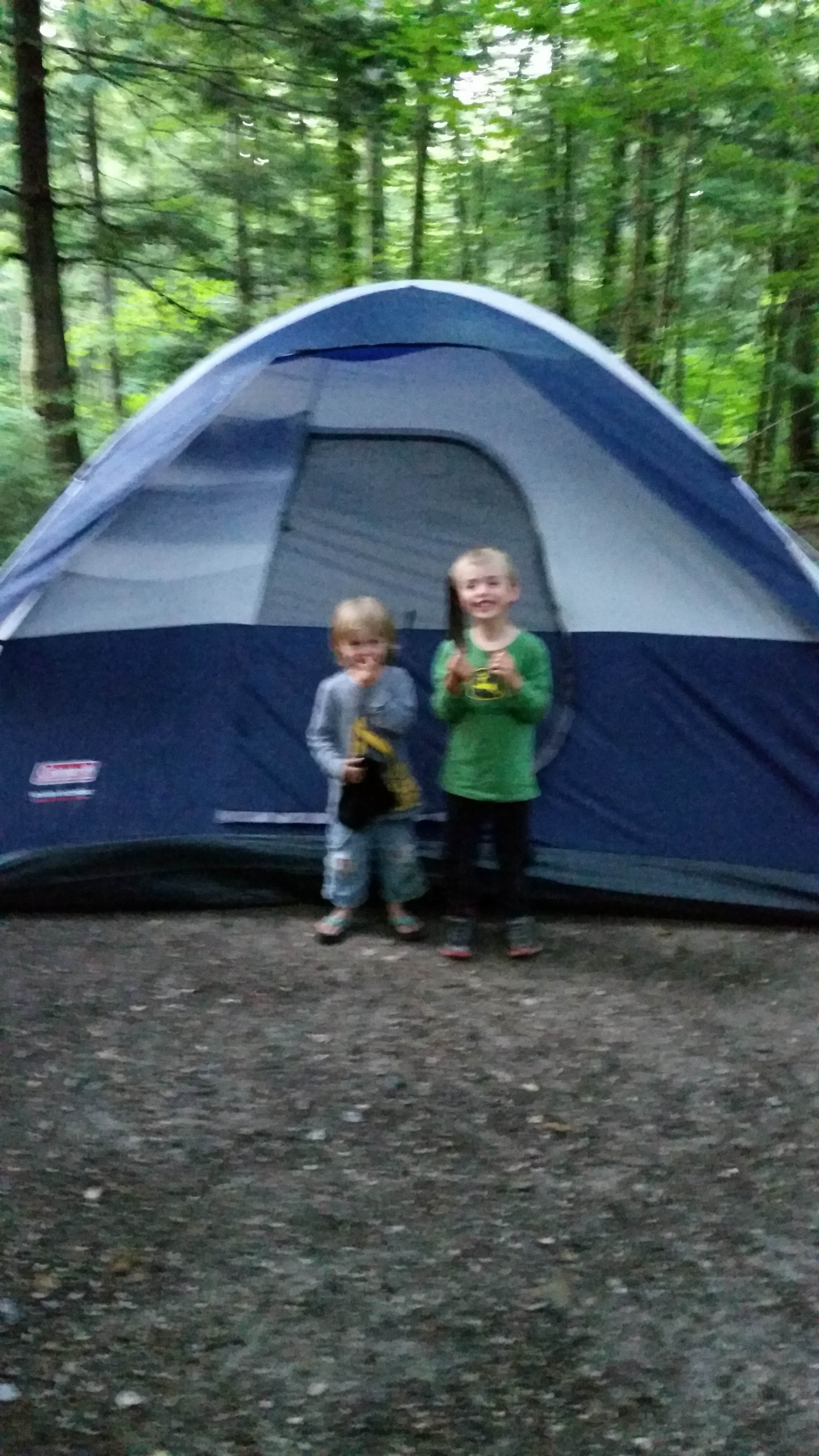 Camper submitted image from Gifford Woods State Park Campground - 4