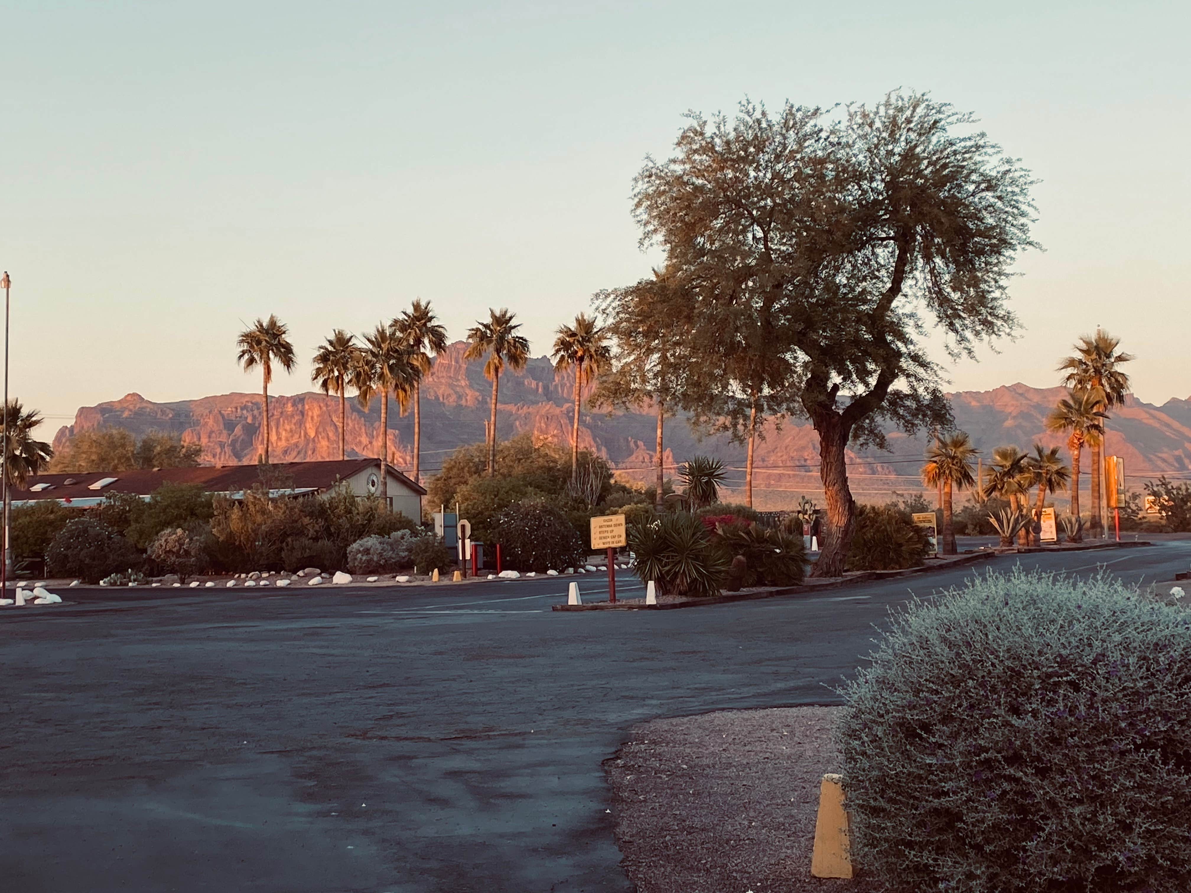 Guadalupe - Photo 2