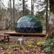 Olympic Wilderness Basecamp