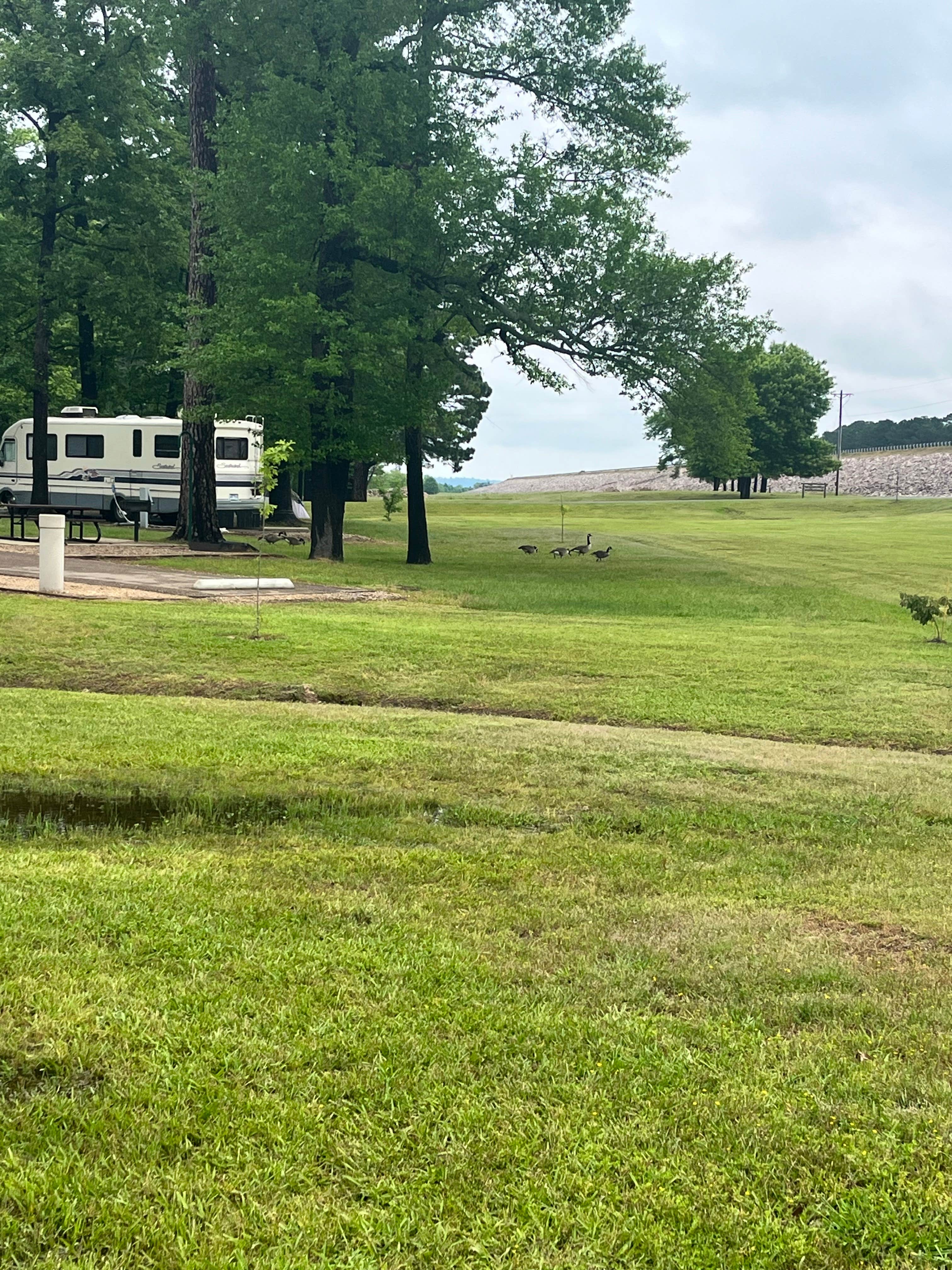 Camper-submitted photo at Millwood State Park Campground near Millwood Lake