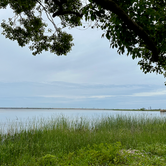 Review photo of Meaher State Park Campground by David B., May 7, 2023