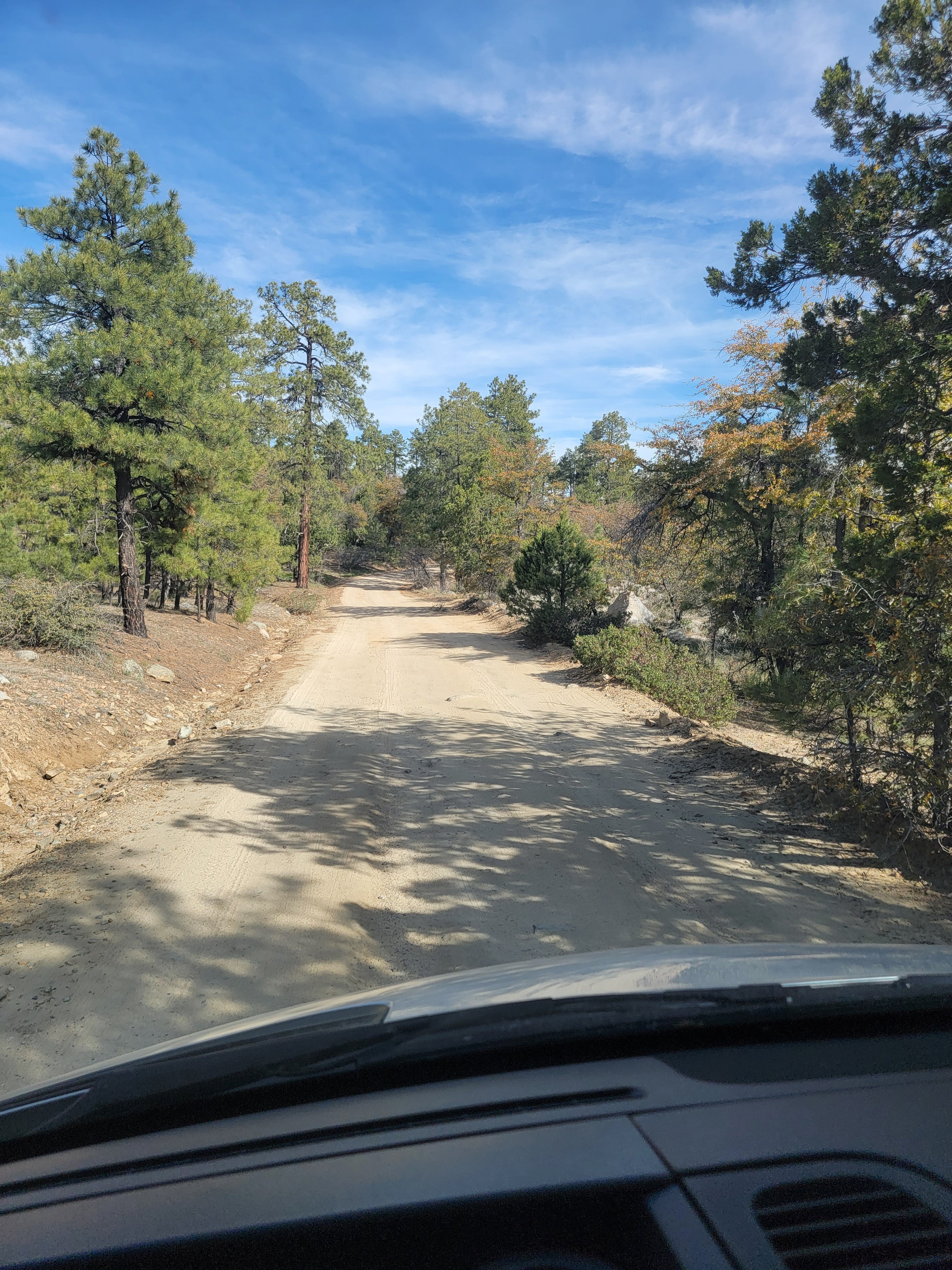 Camper submitted image from FDR 373 Thumb Butte Loop - 4
