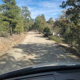 Review photo of FDR 373 Thumb Butte Loop by Sam P., May 7, 2023