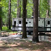 Review photo of Pickensville Campground by Will G., May 7, 2023