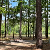Review photo of Pickensville Campground by Will G., May 7, 2023