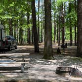 Review photo of Pickensville Campground by Will G., May 7, 2023