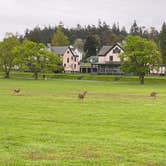 Review photo of Beach Campground — Fort Worden Historical State Park by Kyle , May 7, 2023