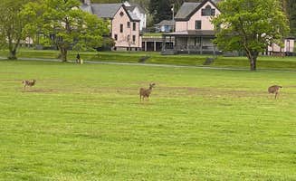 Kyle's photo of camping with pets at Beach Campground — Fort Worden Historical State Park near Marysville, WA