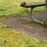 Review photo of Beach Campground — Fort Worden Historical State Park by Kyle , May 7, 2023