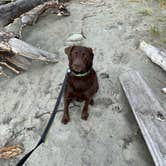 Review photo of Beach Campground — Fort Worden Historical State Park by Kyle , May 7, 2023