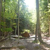 Review photo of Lake Michigan Recreation Area by Dan G., August 18, 2016