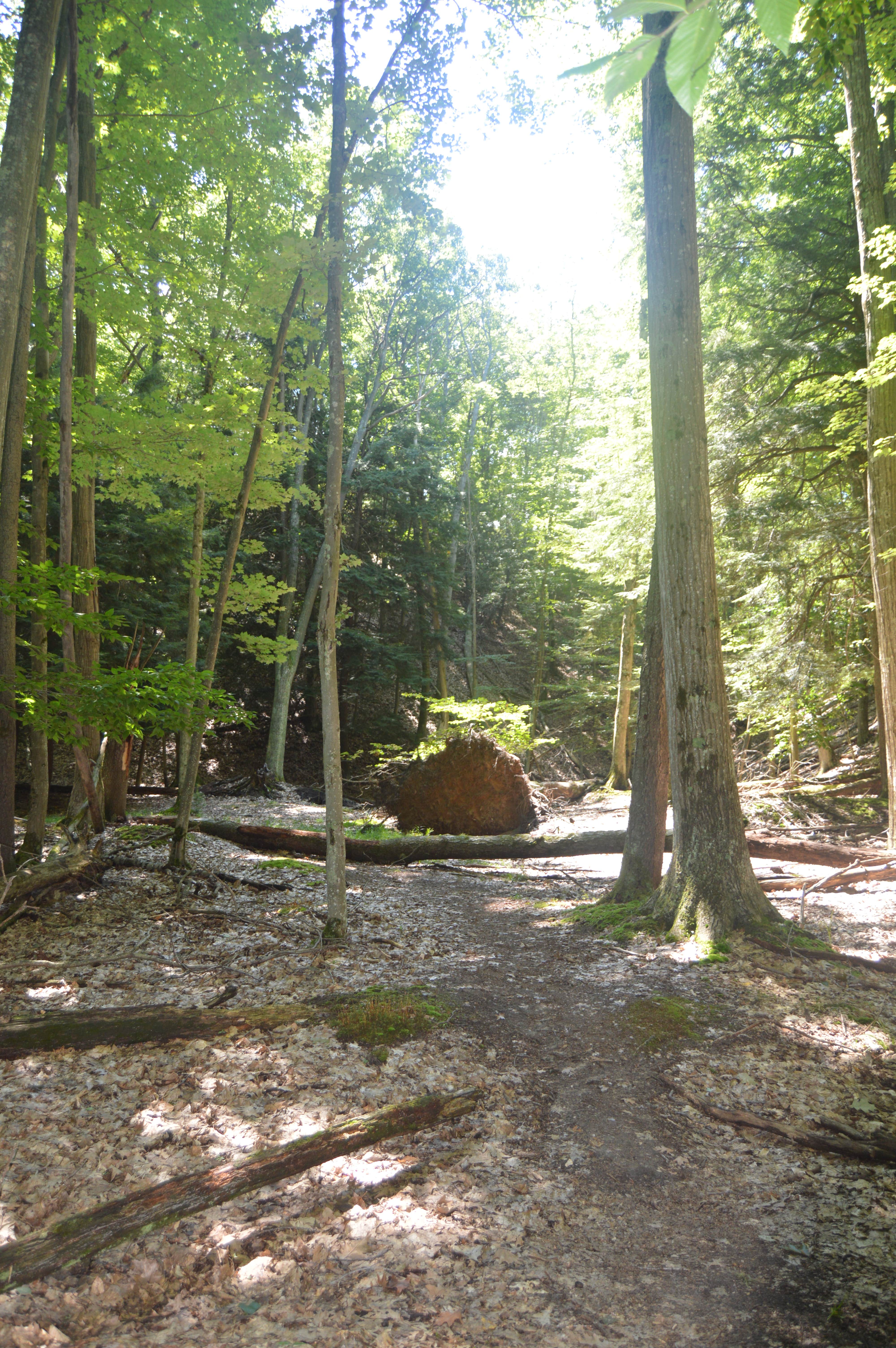 Camper submitted image from Lake Michigan Recreation Area - 2