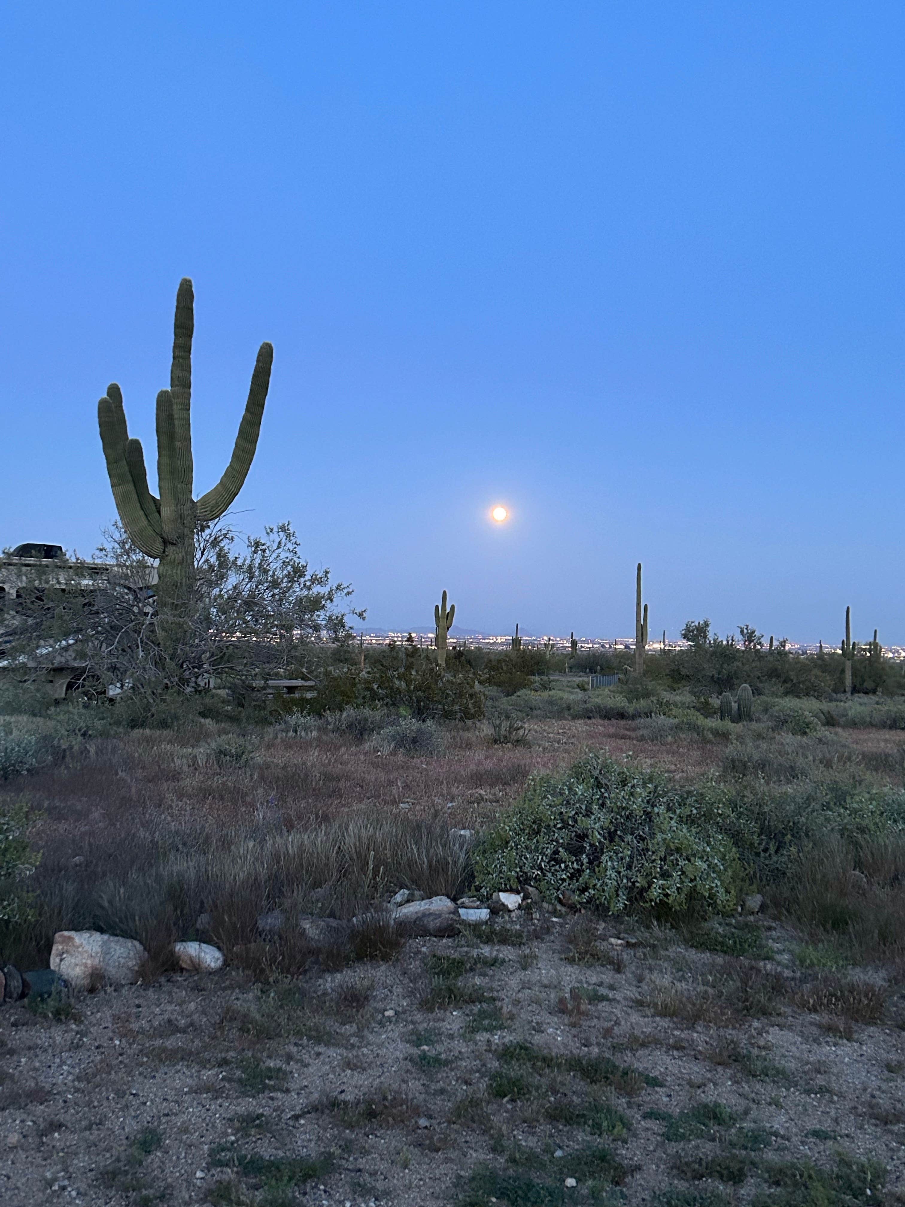 Camper-submitted photo at White Tank Mountain near Wickenburg, AZ