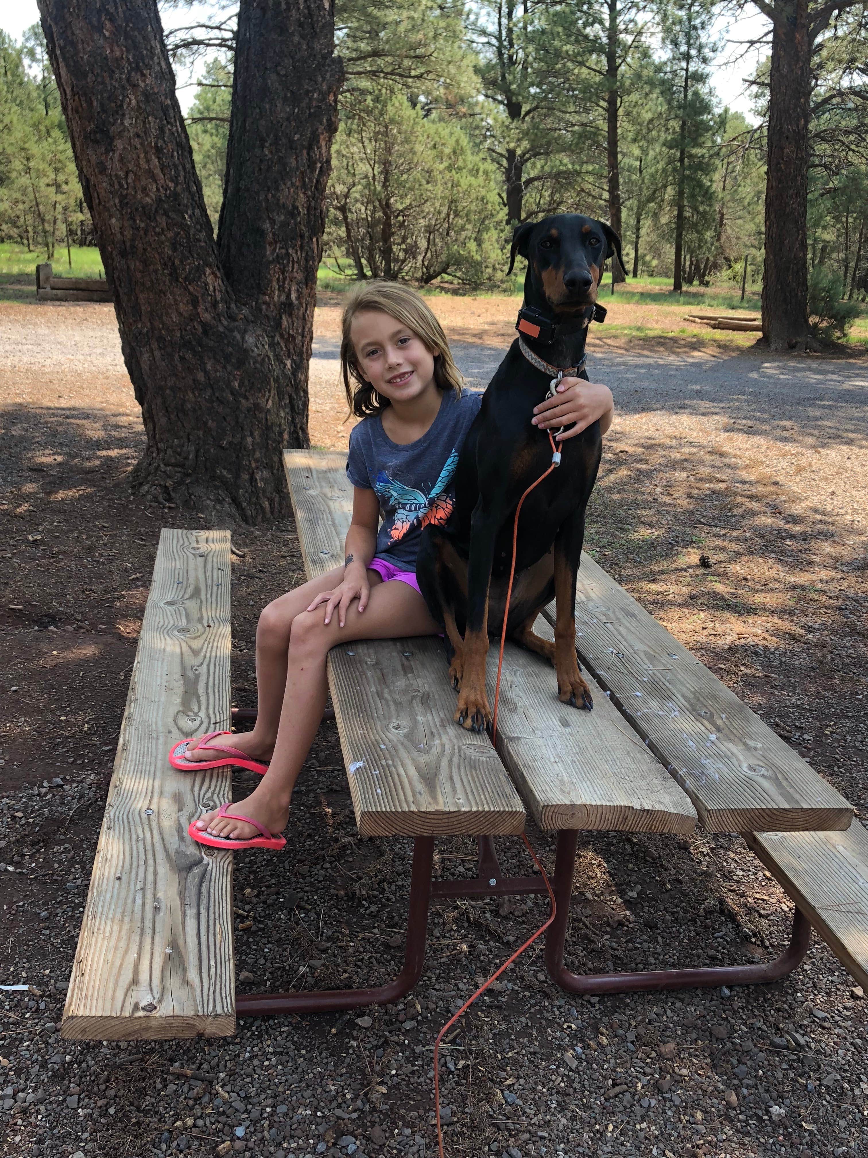 David G.'s photo of camping with pets at Williams-Circle Pines KOA near Kaibab National Forest