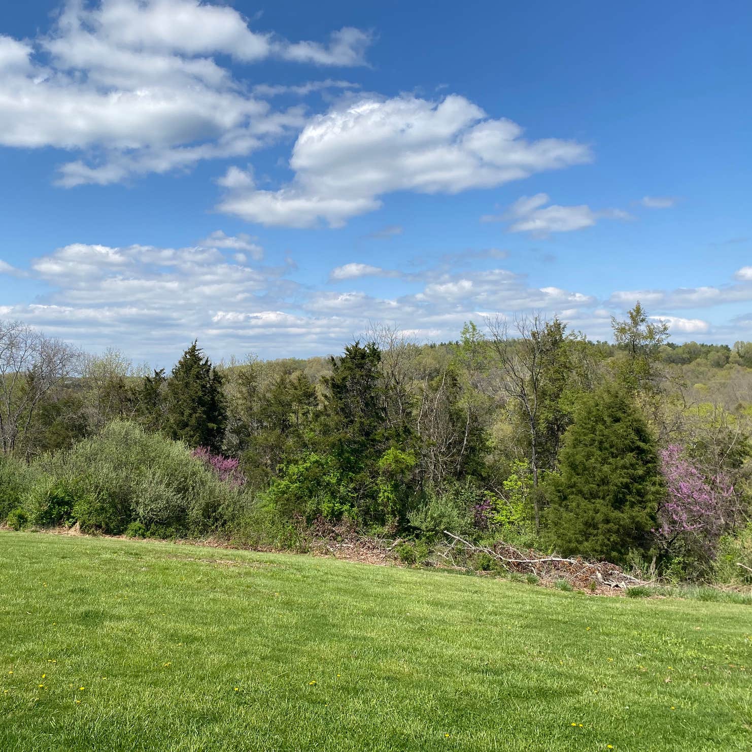 Kincaid Lake State Park Campground Falmouth, KY