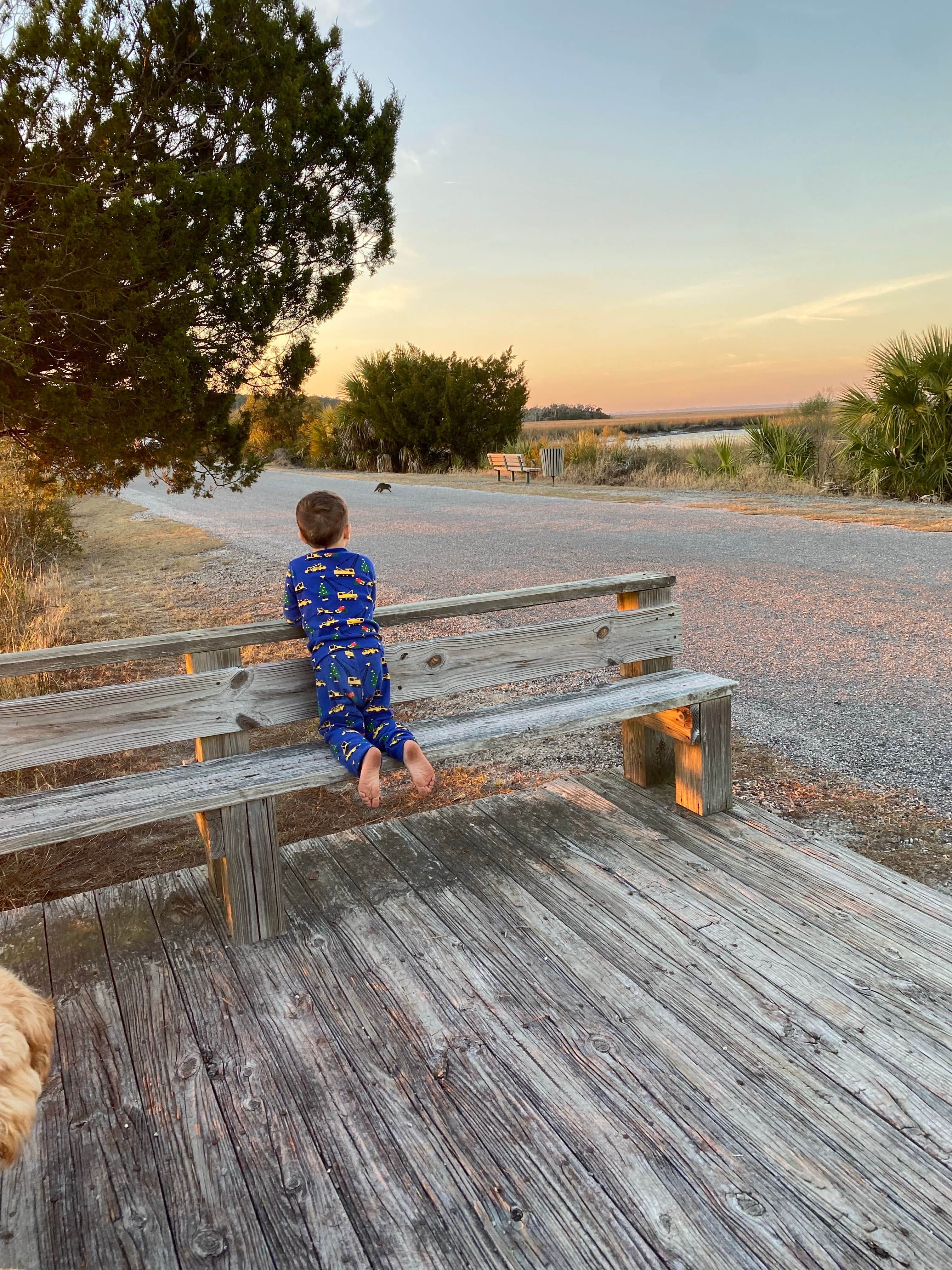 David W.'s photo of camping with pets at Fort McAllister State Park Campground near Hinesville, GA