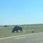 Review photo of Lake Theo Tent Camping Area — Caprock Canyons State Park by Kimber B., May 8, 2023