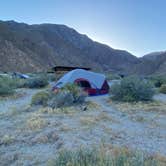 Review photo of Borrego Palm Canyon Campground — Anza-Borrego Desert State Park by Johnnie W., May 8, 2023