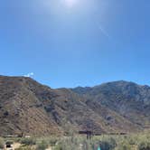 Review photo of Borrego Palm Canyon Campground — Anza-Borrego Desert State Park by Johnnie W., May 8, 2023