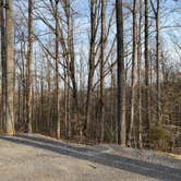 Review photo of West Campground — Norris Dam State Park by David W., May 8, 2023