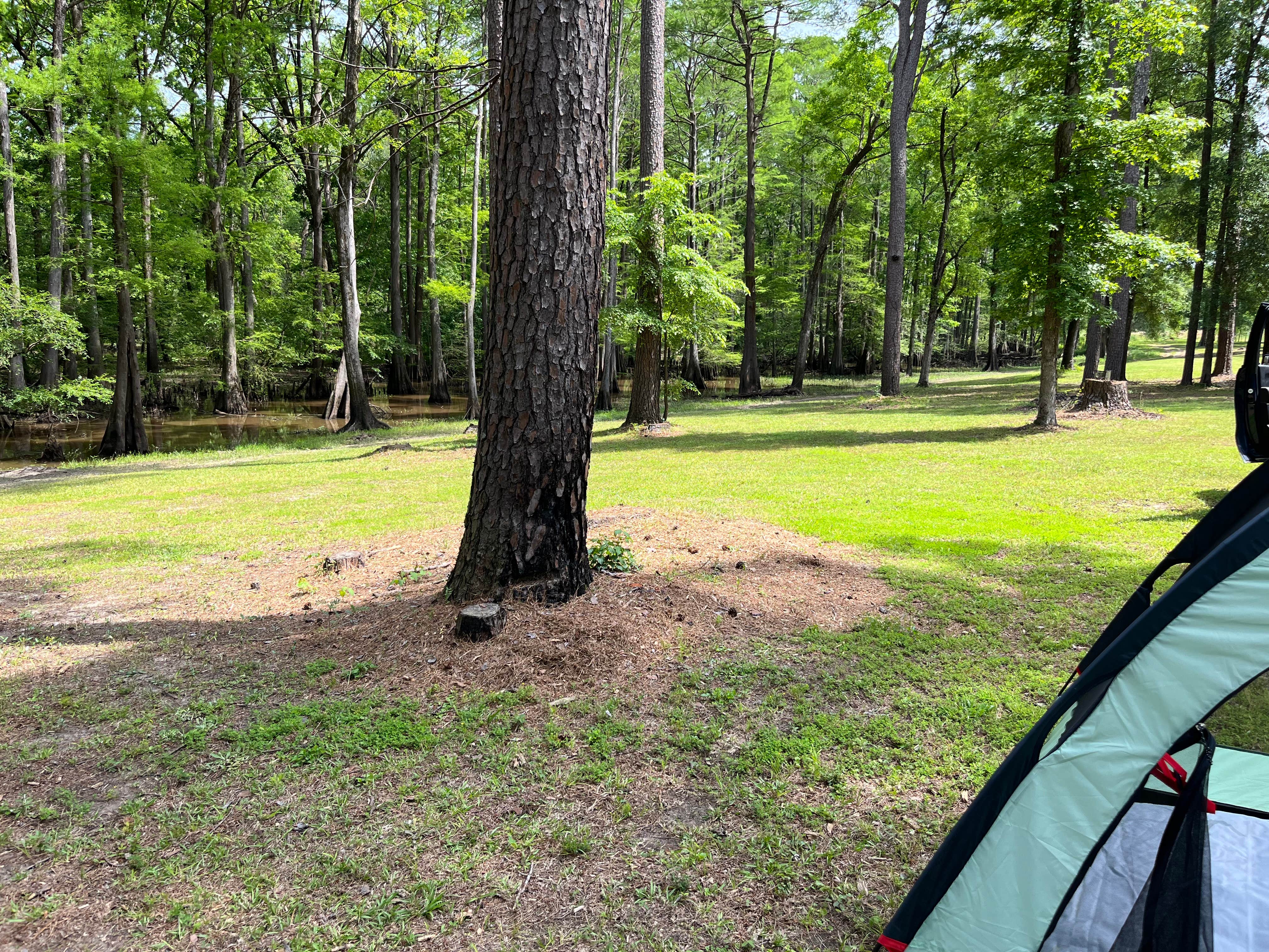 Camper-submitted photo at Buffalo Bayou RV Park near Blanchard, LA