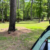 Review photo of Buffalo Bayou RV Park by Jason W., May 8, 2023